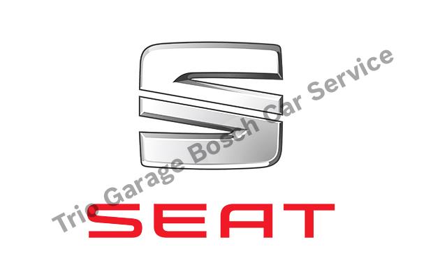 Maltepe Seat Servisi